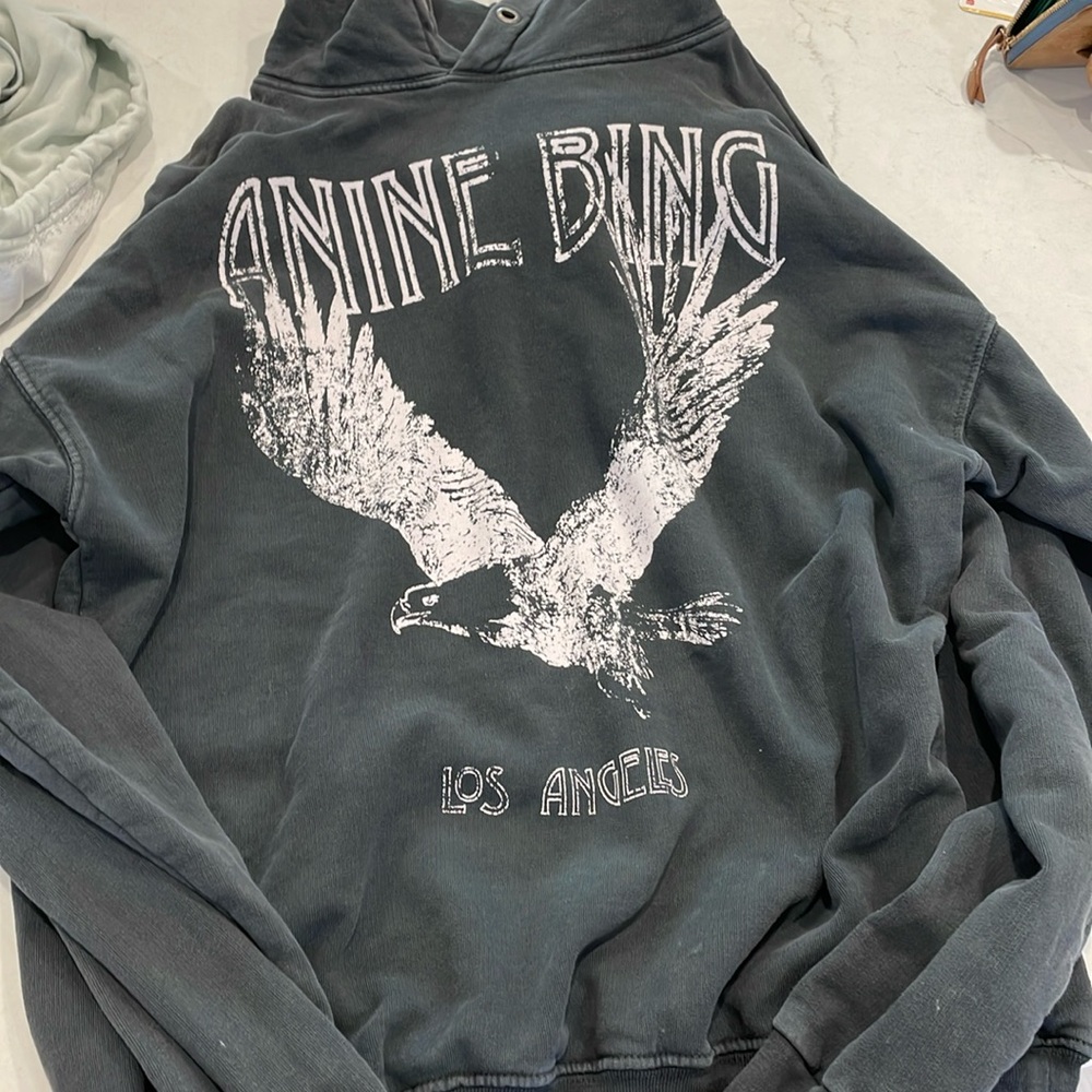 anine bing hoodie